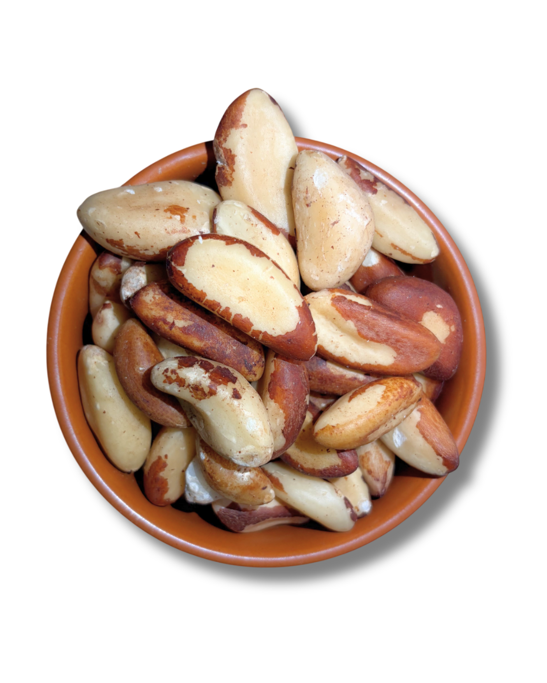 Brazil Nuts Brazil Nuts