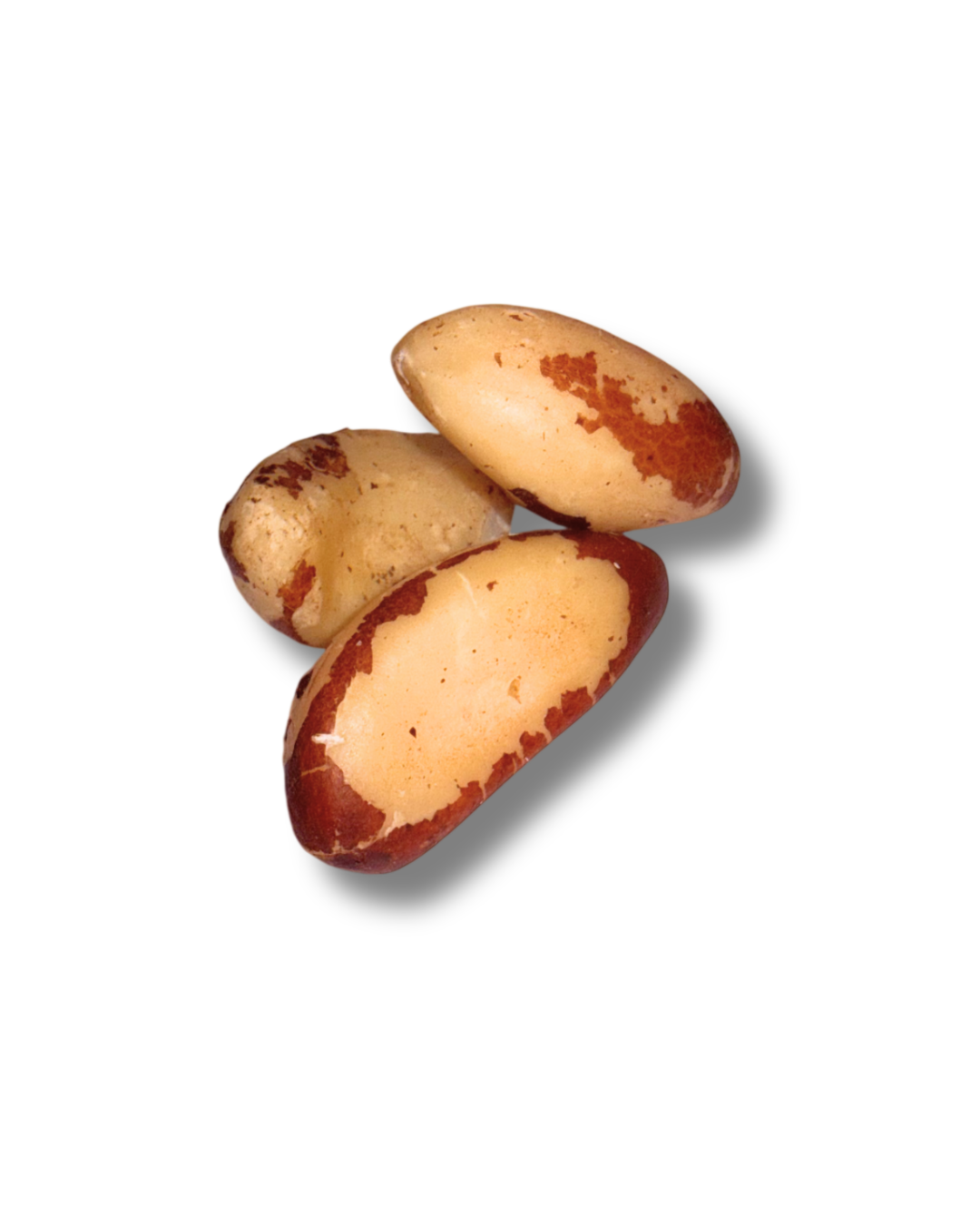 Brazil Nuts Brazil Nuts