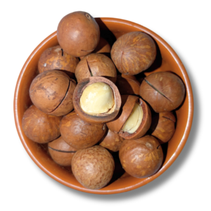 Macadamia Nuts | In-Shell