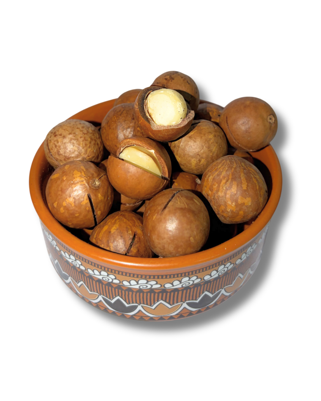 Macadamia Nuts | In-Shell Macadamia Nuts | In-Shell
