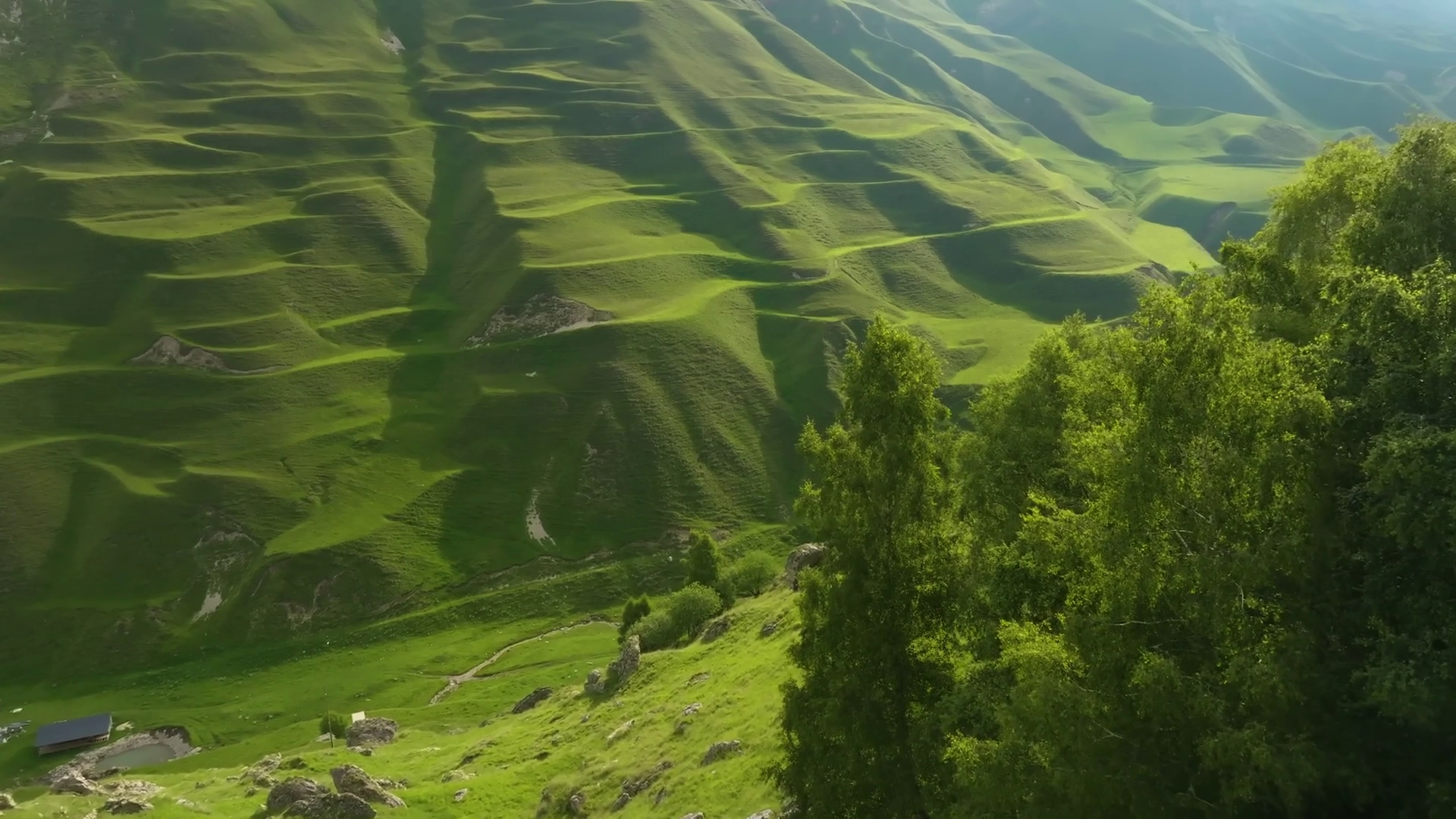 About fertile land of Afghanistan